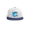 Pauer Sports Baseball HAT