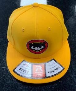 Pauer Sports Just Dropped Pauer Panda Pulse R-Flex Gold