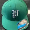 Pauer Sports Headwear Pauer Bolt Performance Trucker Snap Back Cap Green