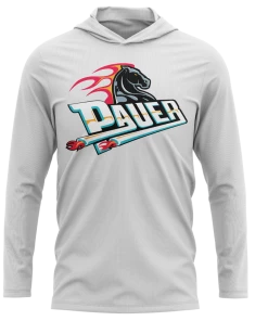 Pauer Sports Pauer Pistons Hooded Pullover Men